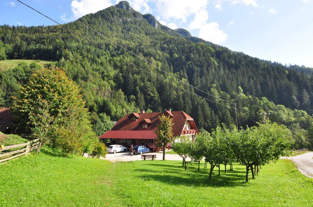 فيلا Solčavaفي Country House - Turisticna Kmetija Ambroz Gregorc المظهر الخارجي الصورة