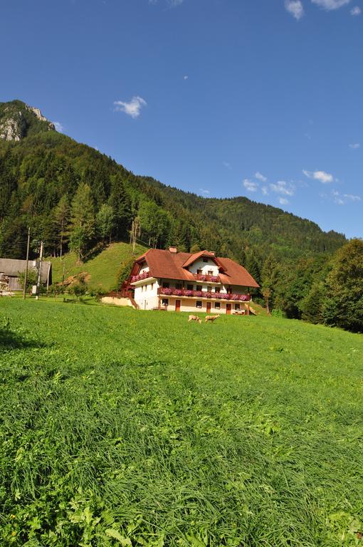 فيلا Solčavaفي Country House - Turisticna Kmetija Ambroz Gregorc المظهر الخارجي الصورة