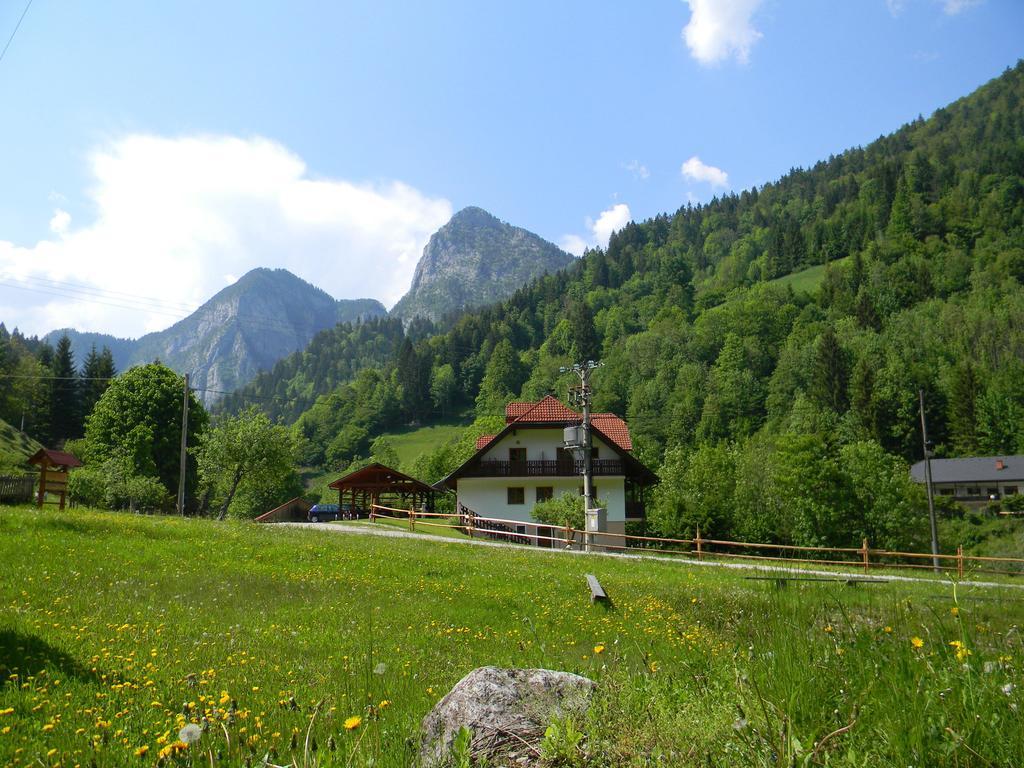 فيلا Solčavaفي Country House - Turisticna Kmetija Ambroz Gregorc المظهر الخارجي الصورة