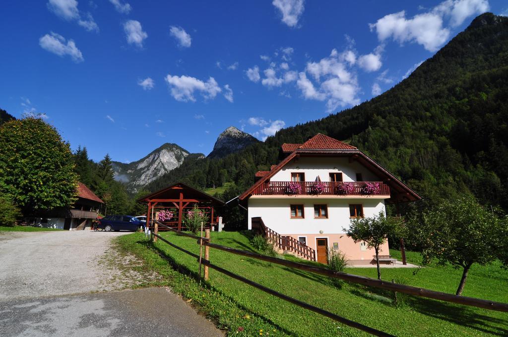 فيلا Solčavaفي Country House - Turisticna Kmetija Ambroz Gregorc المظهر الخارجي الصورة